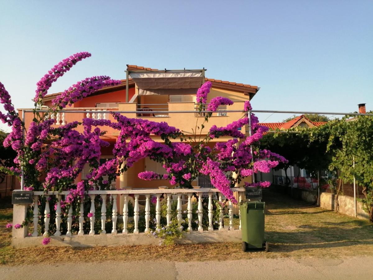 Marina Daire Biograd Na Moru Dış mekan fotoğraf