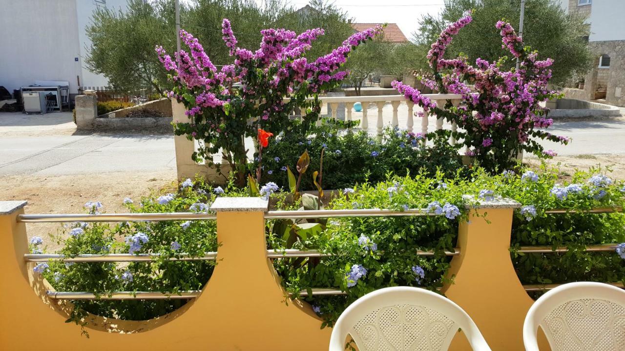 Marina Daire Biograd Na Moru Dış mekan fotoğraf